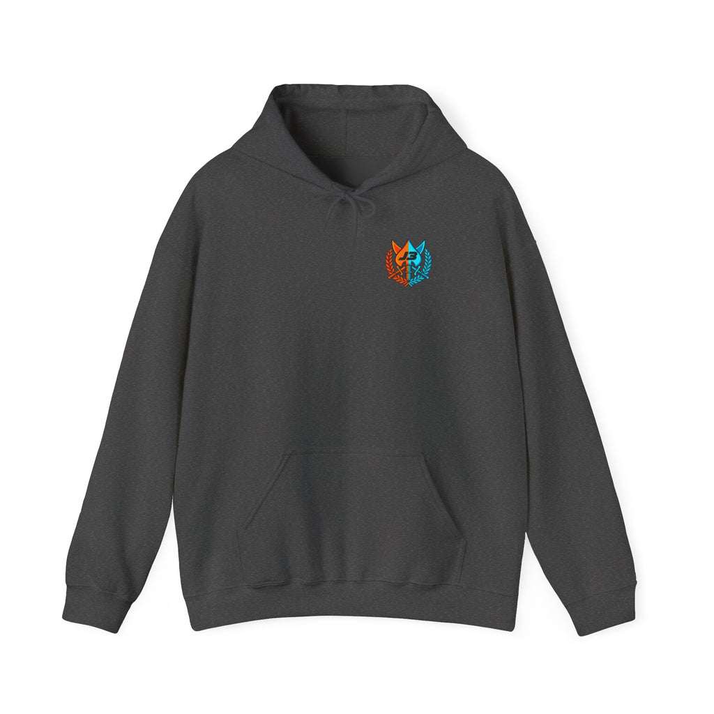 'It is going to be a great day' Hoodie